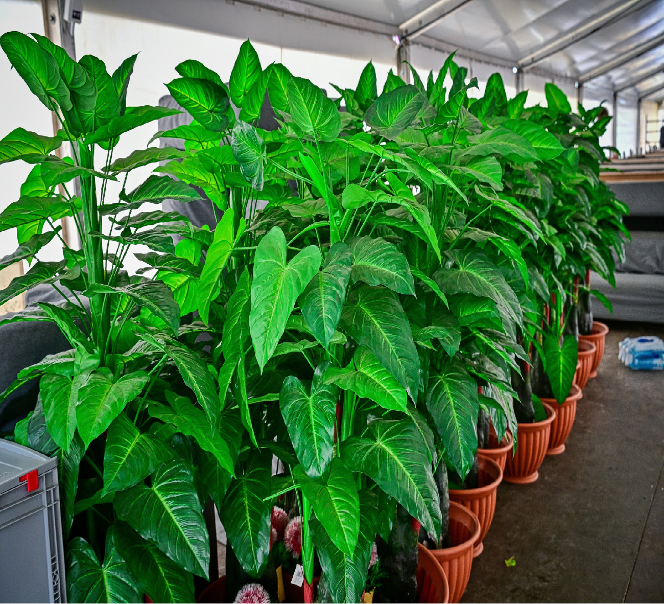 Umělá palma- Malá / Velká