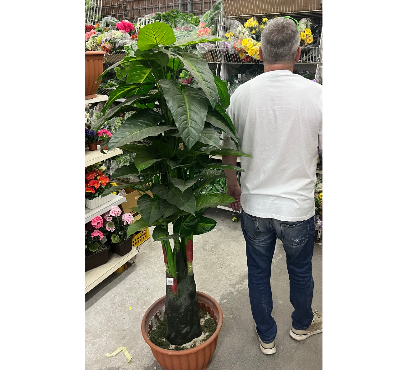 Umělá palma- Malá / Velká - Obrázek 2