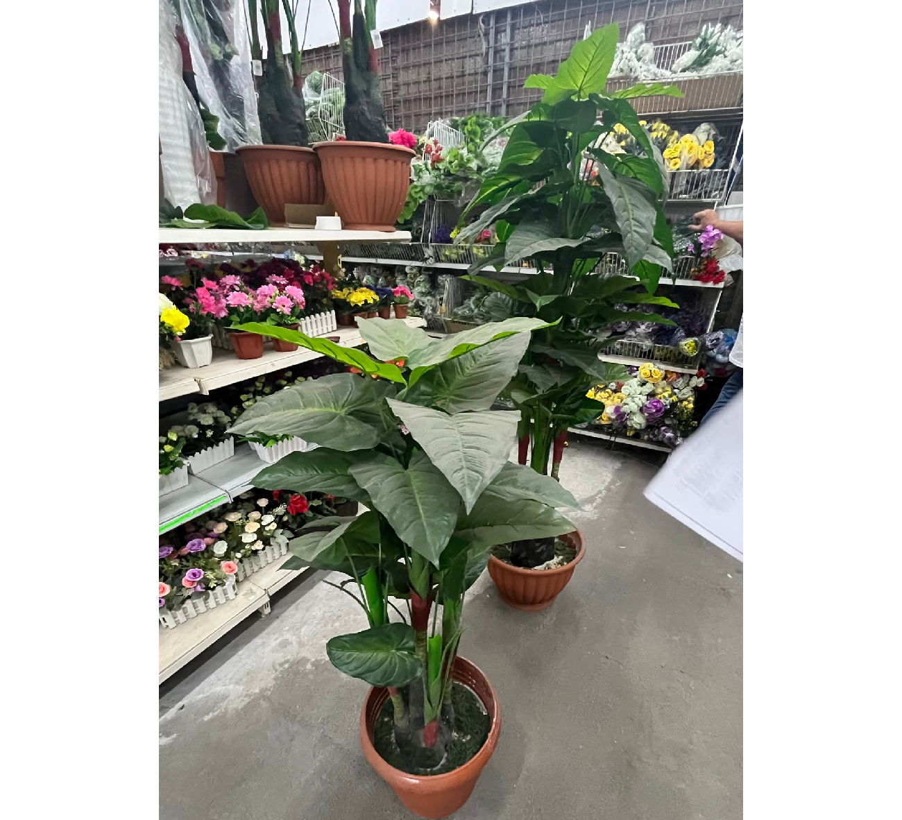 Umělá palma- Malá / Velká - Obrázek 3