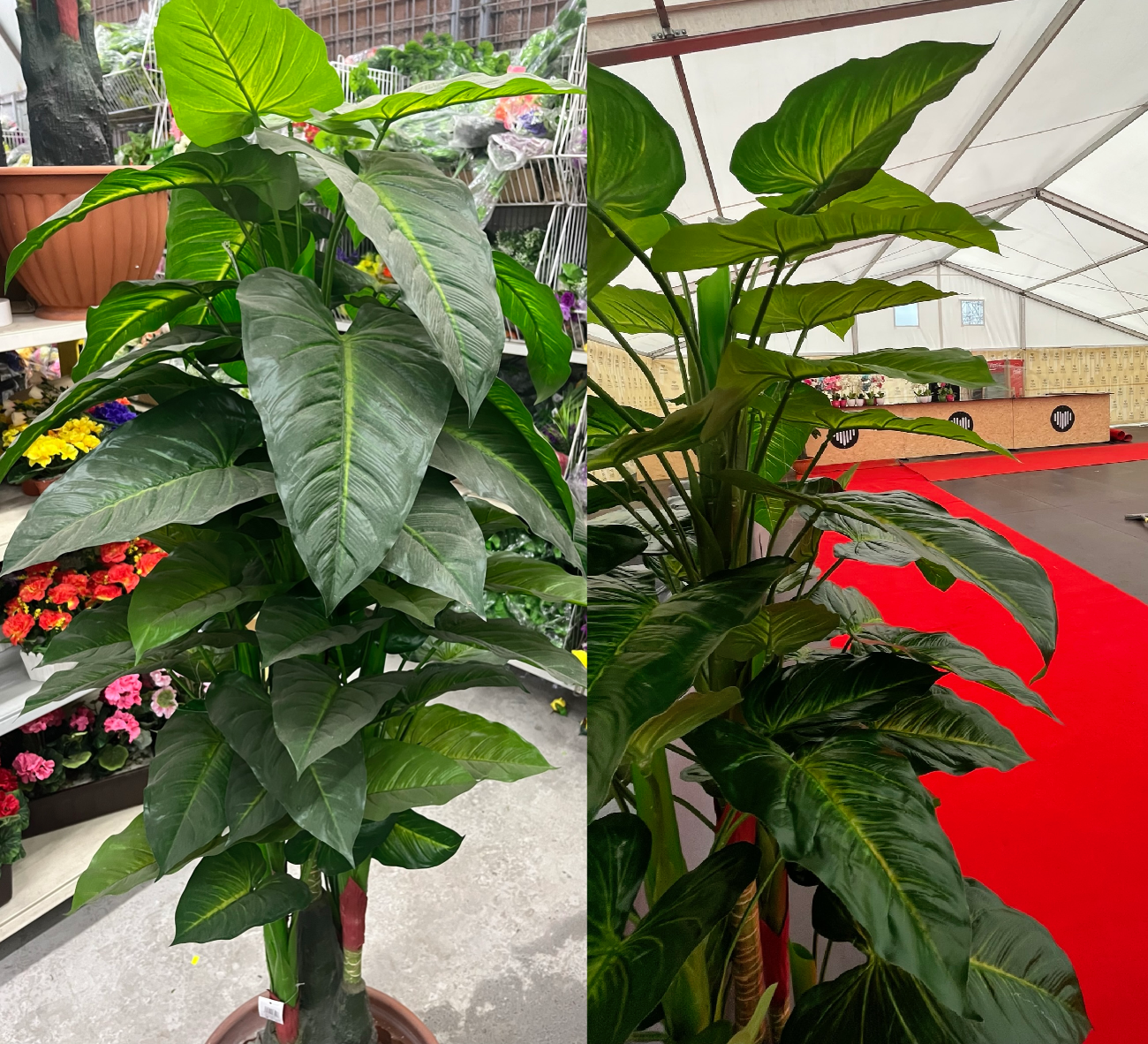 Umělá palma- Malá / Velká - Obrázek 4